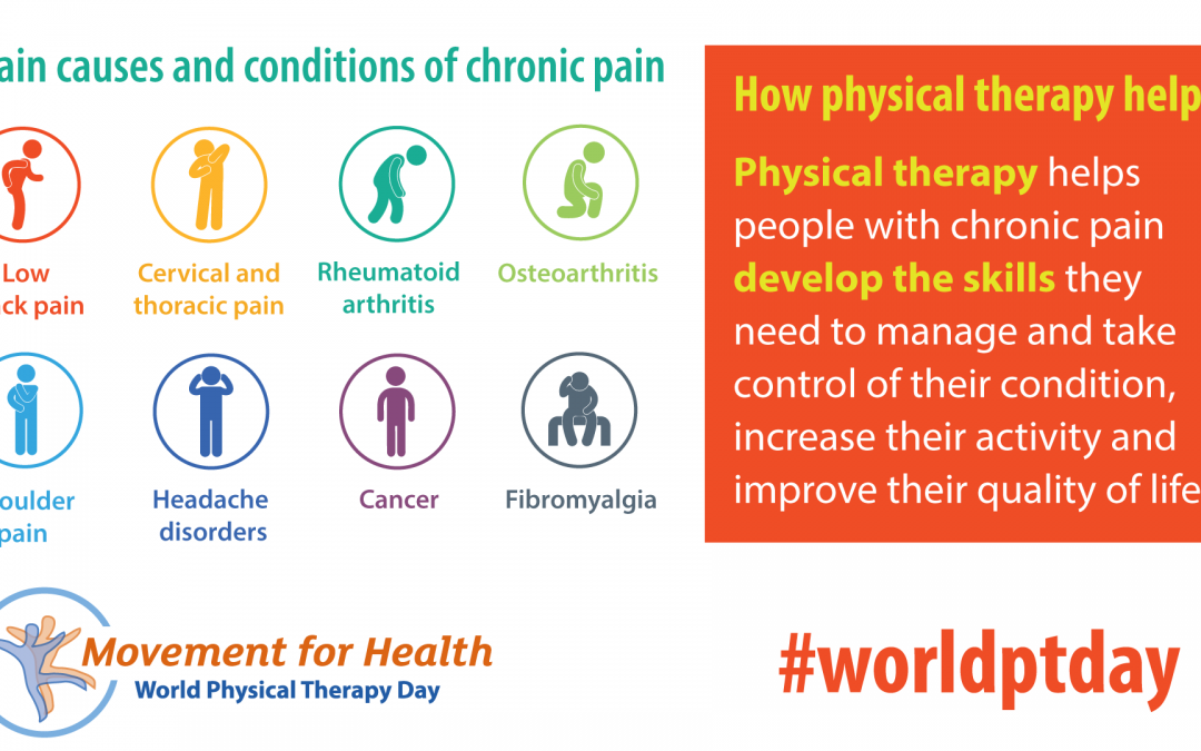 World Physiotherapy Day – We do we do?